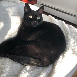 Meet your Posher, Erika